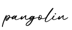 单词pangolin书写