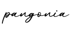 单词pangonia书写