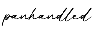 单词panhandled书写
