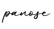 单词panose书写