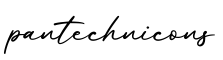 单词pantechnicons书写