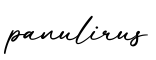 单词panulirus书写