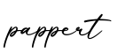 单词pappert书写