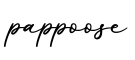 单词pappoose书写