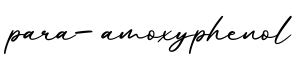 单词para-amoxyphenol书写