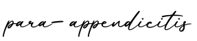 单词para-appendicitis书写