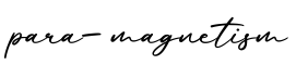 单词para-magnetism书写