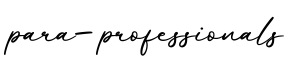 单词para-professionals书写