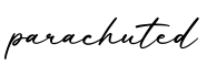 单词parachuted书写