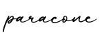 单词paracone书写
