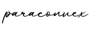 单词paraconvex书写