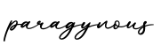 单词paragynous书写
