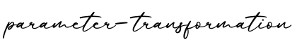单词parameter-transformation书写