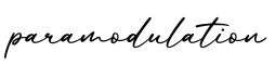 单词paramodulation书写