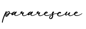 单词pararescue书写