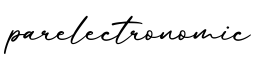 单词parelectronomic书写