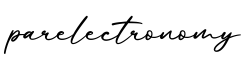 单词parelectronomy书写