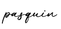 单词pasquin书写