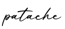 单词patache书写