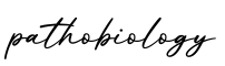 单词pathobiology书写