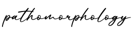 单词pathomorphology书写