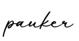 单词pauker书写