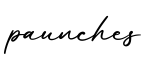 单词paunches书写