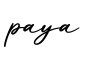 单词paya书写