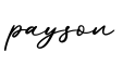 单词payson书写