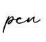 单词pcn书写