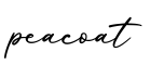 单词peacoat书写