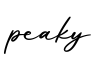 单词peaky书写