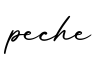 单词peche书写