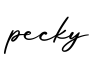 单词pecky书写