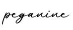 单词peganine书写