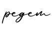 单词pegem书写