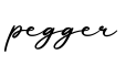 单词pegger书写