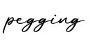 单词pegging书写