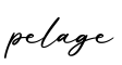 单词pelage书写