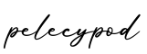 单词pelecypod书写