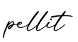 单词pellit书写