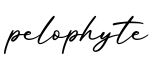 单词pelophyte书写