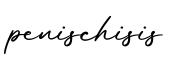 单词penischisis书写