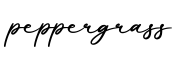 单词peppergrass书写