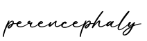 单词perencephaly书写