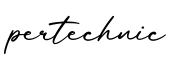 单词pertechnic书写