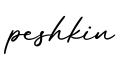 单词peshkin书写