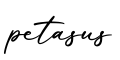 单词petasus书写