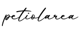 单词petiolarea书写