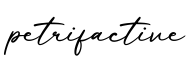 单词petrifactive书写